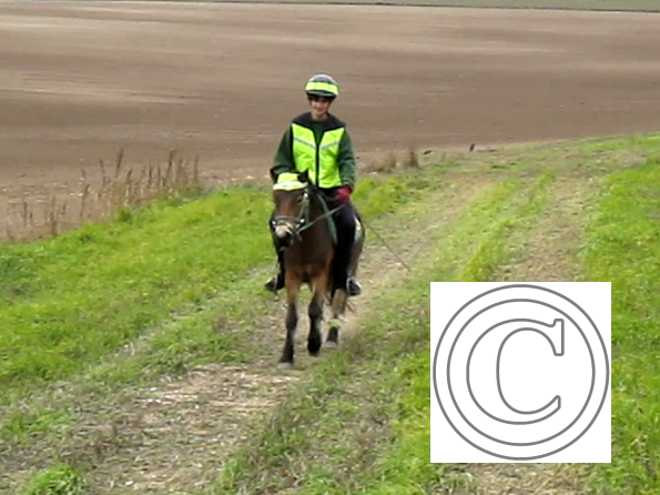 vlcsnap-2010-10-15-18h09m12s21