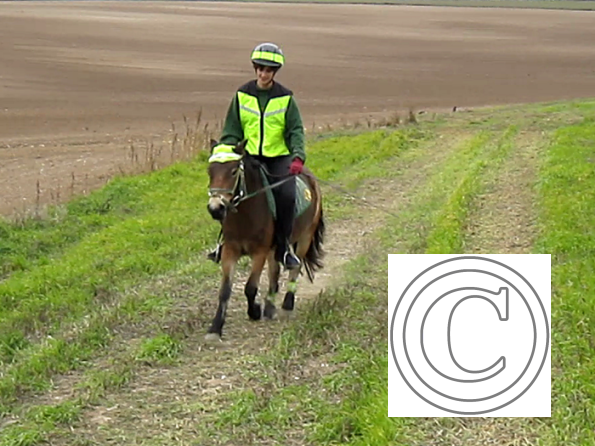 vlcsnap-2010-10-15-18h09m28s165