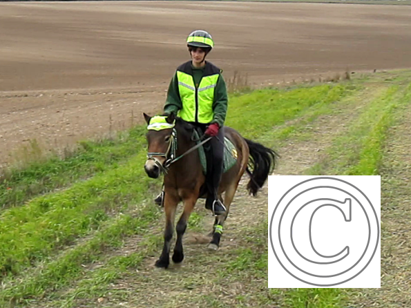 vlcsnap-2010-10-15-18h09m39s37