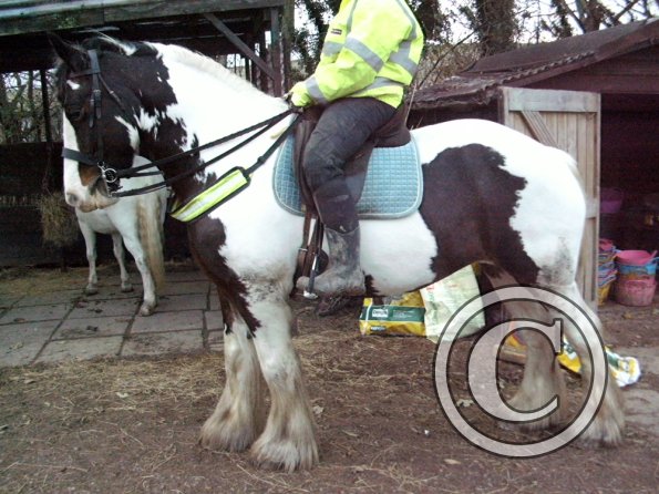 HiViz Anna and Lucy (2)