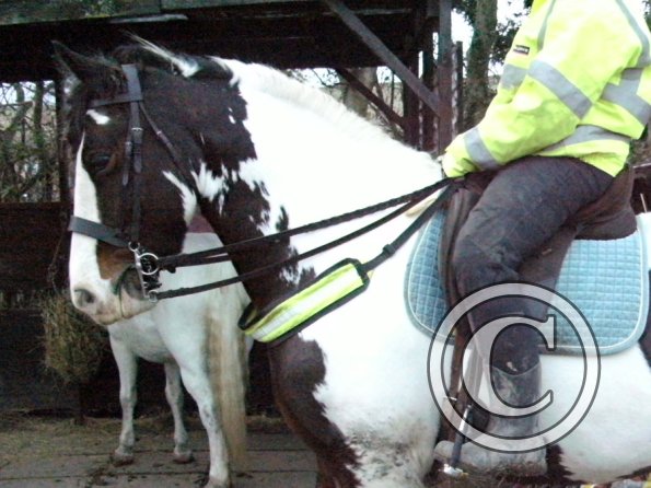 HiViz Anna and Lucy (3)