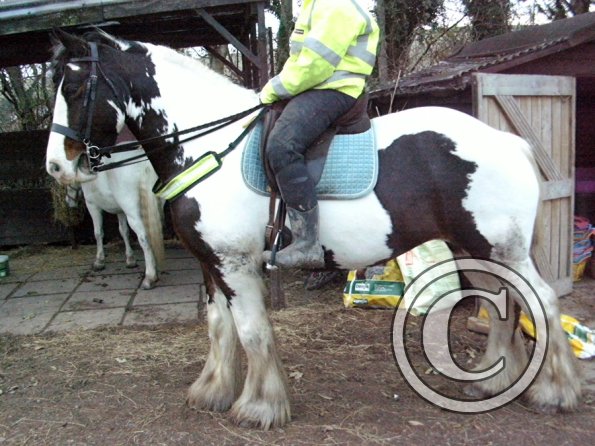 HiViz Anna and Lucy (4)