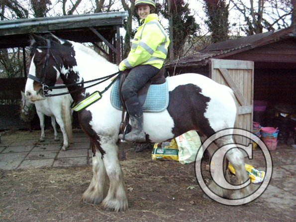 HiViz Anna and Lucy (5)