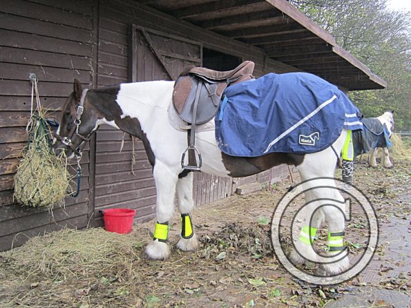 Ride in the gale (3)