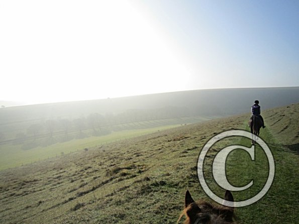 x November hack in sun (10)