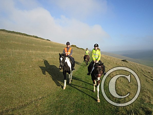 x November hack in sun (11)