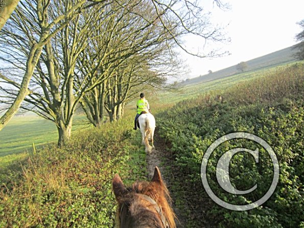 x November hack in sun (12)