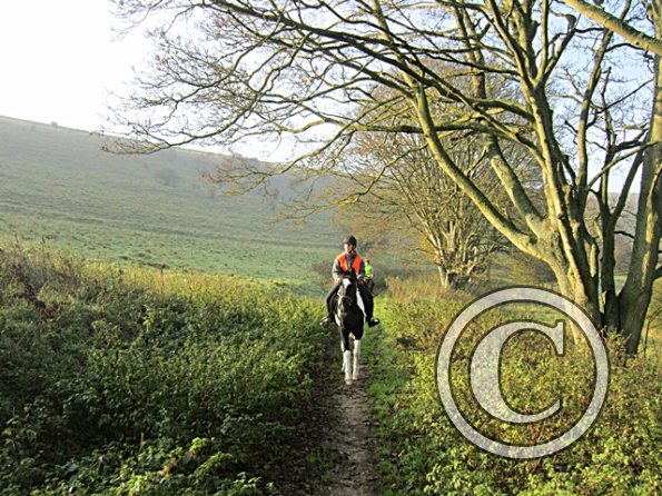 x November hack in sun (14)