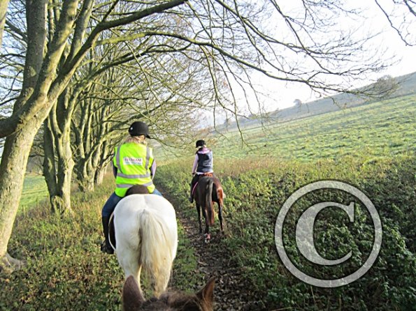 x November hack in sun (15)