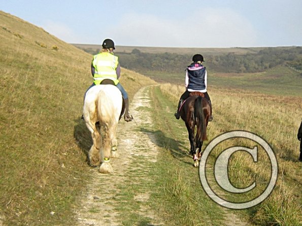 x November hack in sun (16)