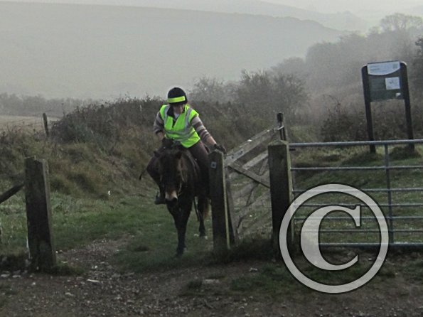 x November hack in sun (18)