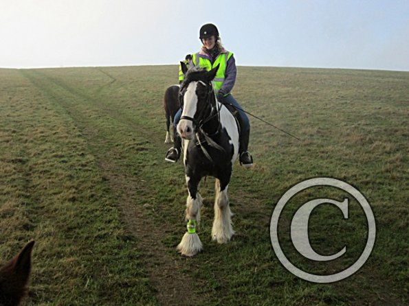 x November hack in sun (19)