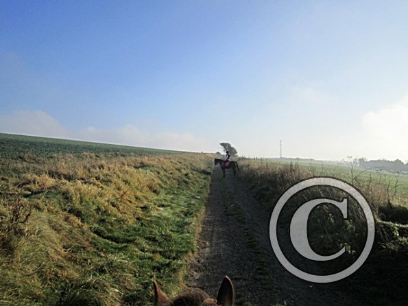 x November hack in sun (2)