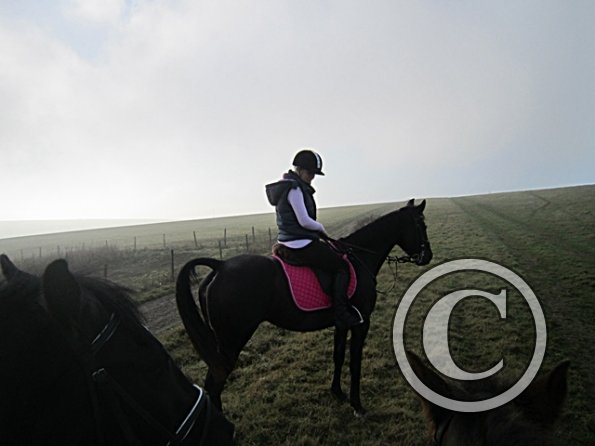 x November hack in sun (20)