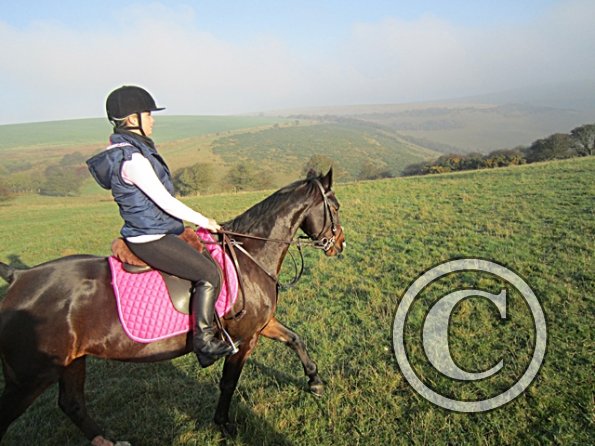 x November hack in sun (3)