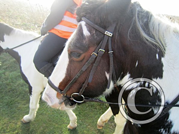 x November hack in sun (4)