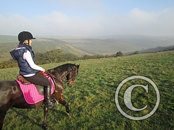 x November hack in sun (6)