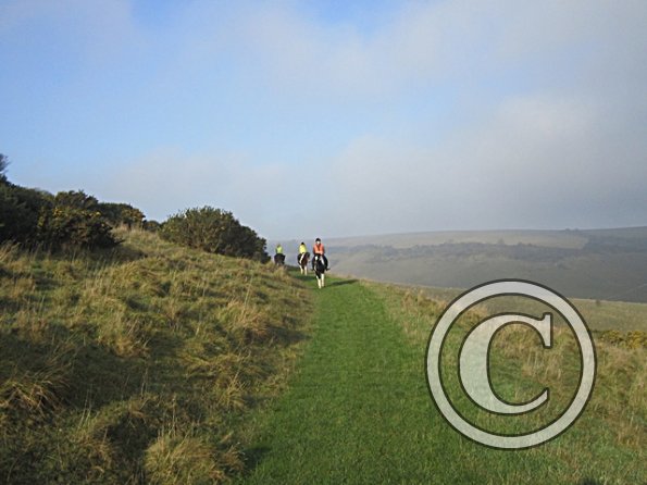 x November hack in sun (8)