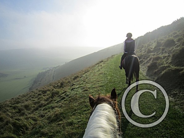 x November hack in sun (9)