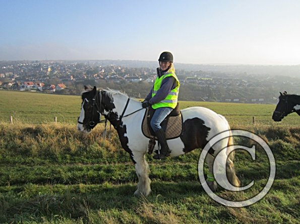 x November hack in sun