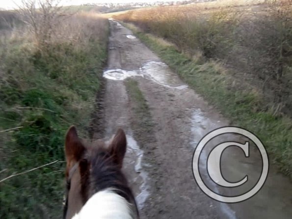 vlcsnap-2012-12-12-17h32m47s178