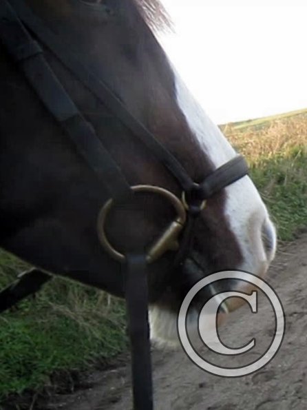 vlcsnap-2012-12-12-17h32m59s26