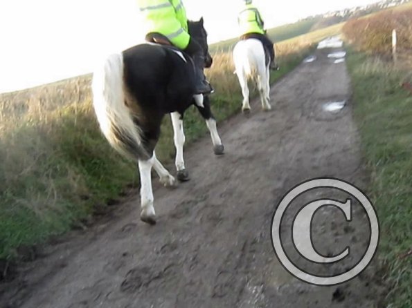 vlcsnap-2012-12-12-17h33m20s15