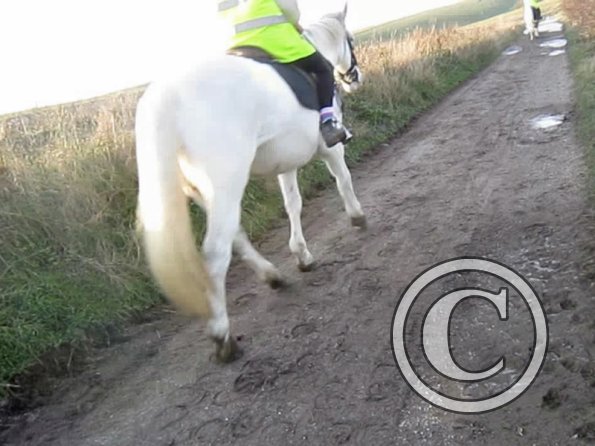 vlcsnap-2012-12-12-17h33m29s109