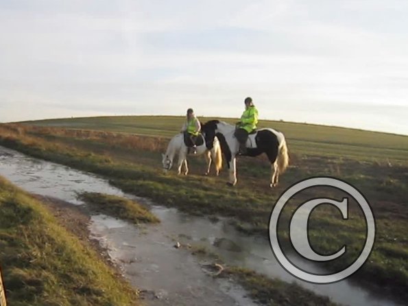 vlcsnap-2012-12-12-17h34m37s24