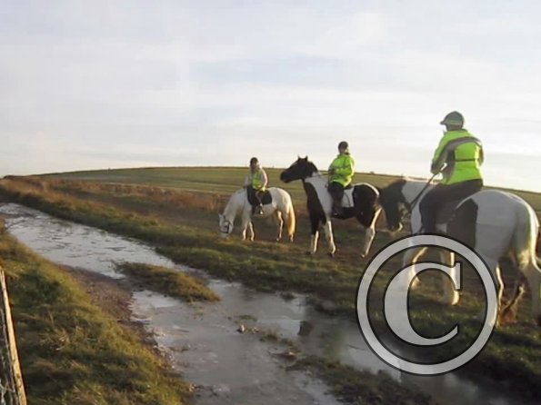 vlcsnap-2012-12-12-17h34m54s186