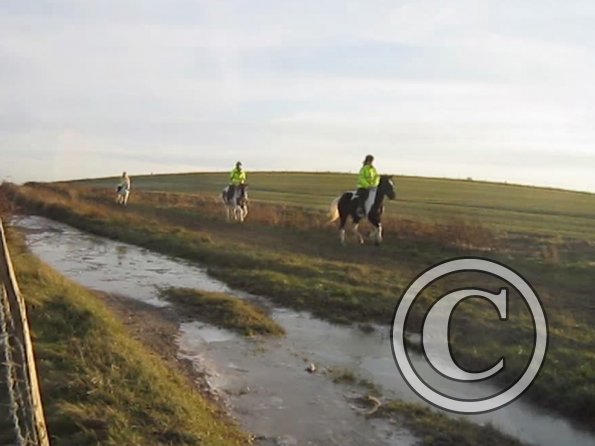 vlcsnap-2012-12-12-17h36m51s80