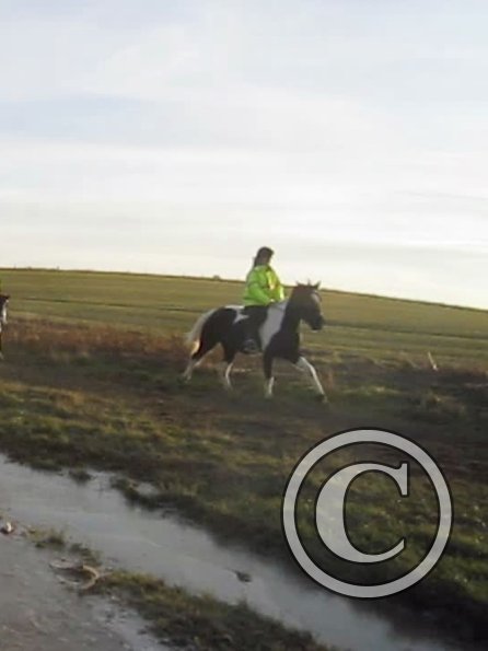 vlcsnap-2012-12-12-17h36m56s129