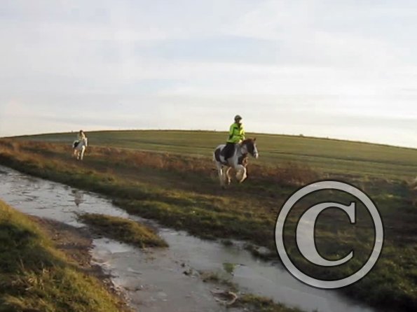 vlcsnap-2012-12-12-17h37m00s175