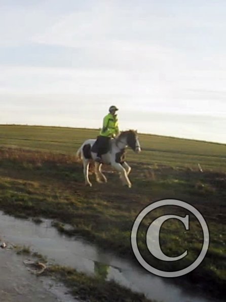 vlcsnap-2012-12-12-17h37m05s220