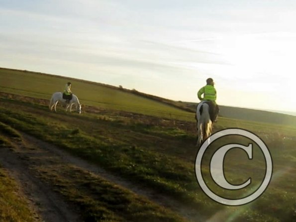 vlcsnap-2012-12-12-17h37m53s201