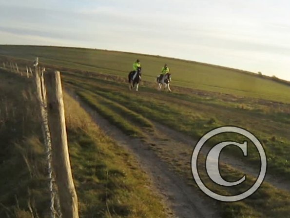 vlcsnap-2012-12-12-17h38m53s21