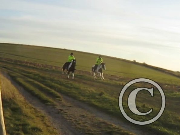 vlcsnap-2012-12-12-17h38m55s44