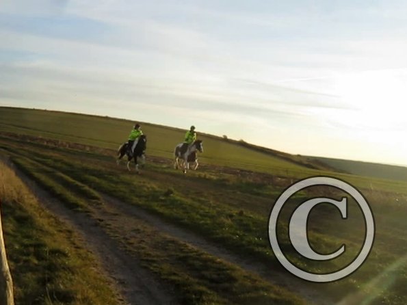 vlcsnap-2012-12-12-17h38m58s71