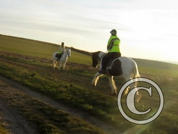 vlcsnap-2012-12-12-17h39m58s157