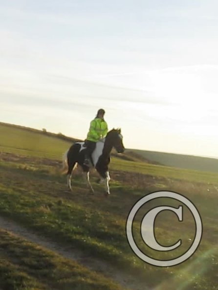 vlcsnap-2012-12-12-17h40m47s139