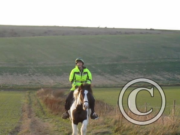 vlcsnap-2012-12-12-17h42m31s149