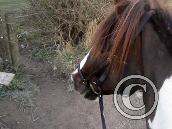 vlcsnap-2012-12-12-17h43m33s6