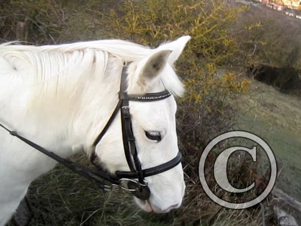 vlcsnap-2012-12-12-17h43m40s77