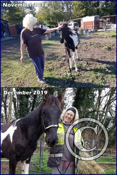 20181010_120127-vert