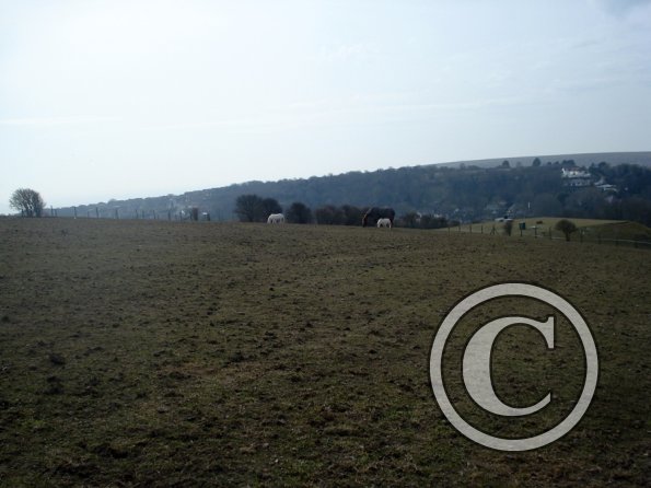 Harrowed field (4)