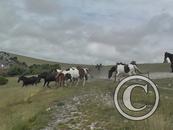 Spilling onto new grass