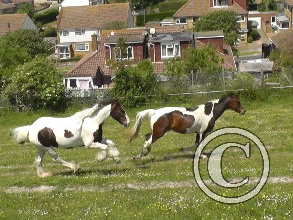 Lance and Ghost race (1)