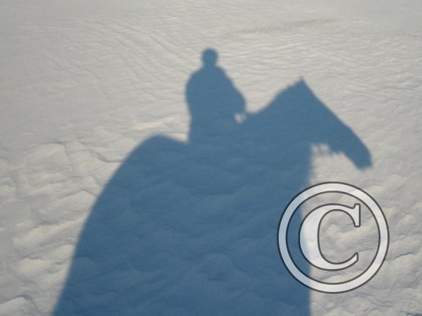 Shadow in the snow