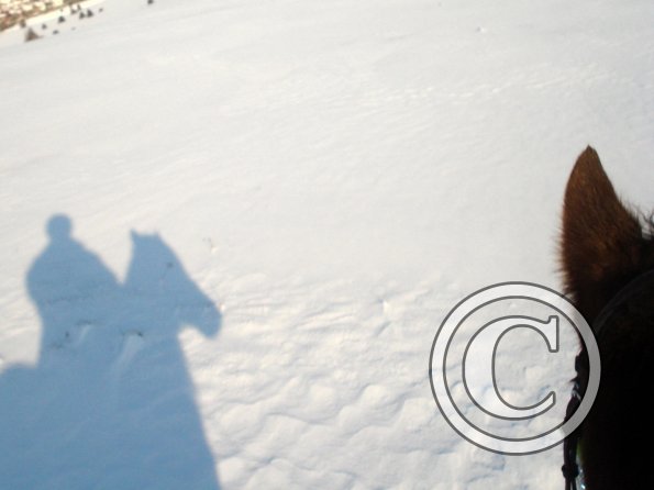 Shadow in the snow