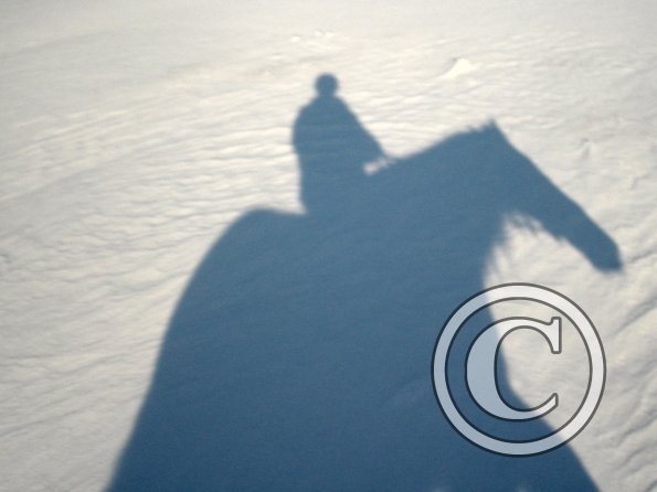 Shadow in the snow